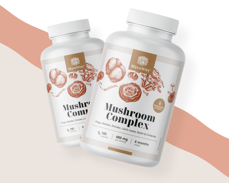 6 cogumelos asiáticos escolhidos numa cápsula.