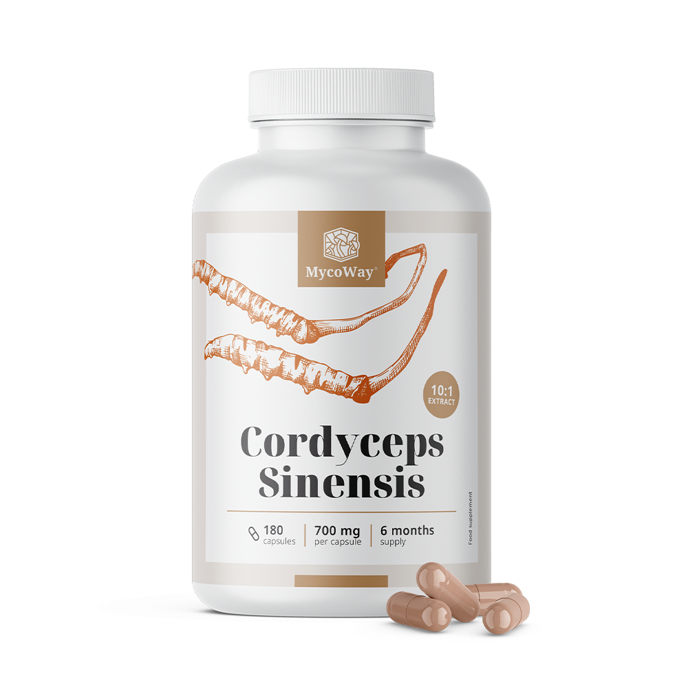 Cordyceps sinensis 1400 mg - extrato 10:1