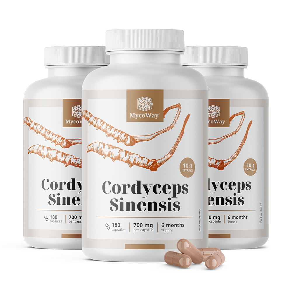 Cordyceps sinensis 1400 mg - extrato 10:1