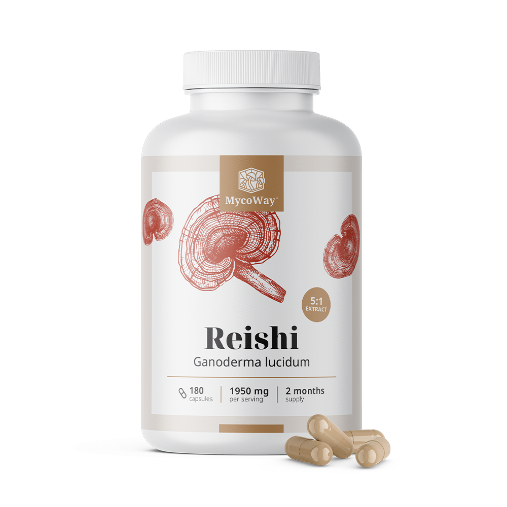 Reishi 1950 mg - extrato 5:1