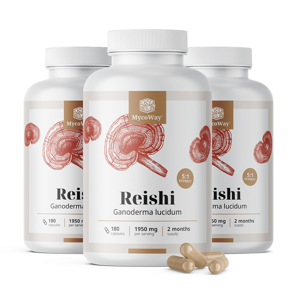 Reishi 1950 mg - extrato 5:1