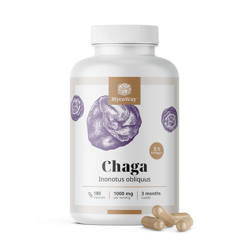 Chaga 1000 mg - extrato 5:1