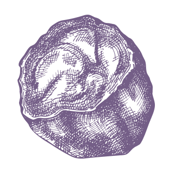 Uma tradição antiga, adaptada à vida moderna