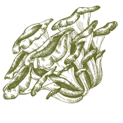 Recupere de forma natural