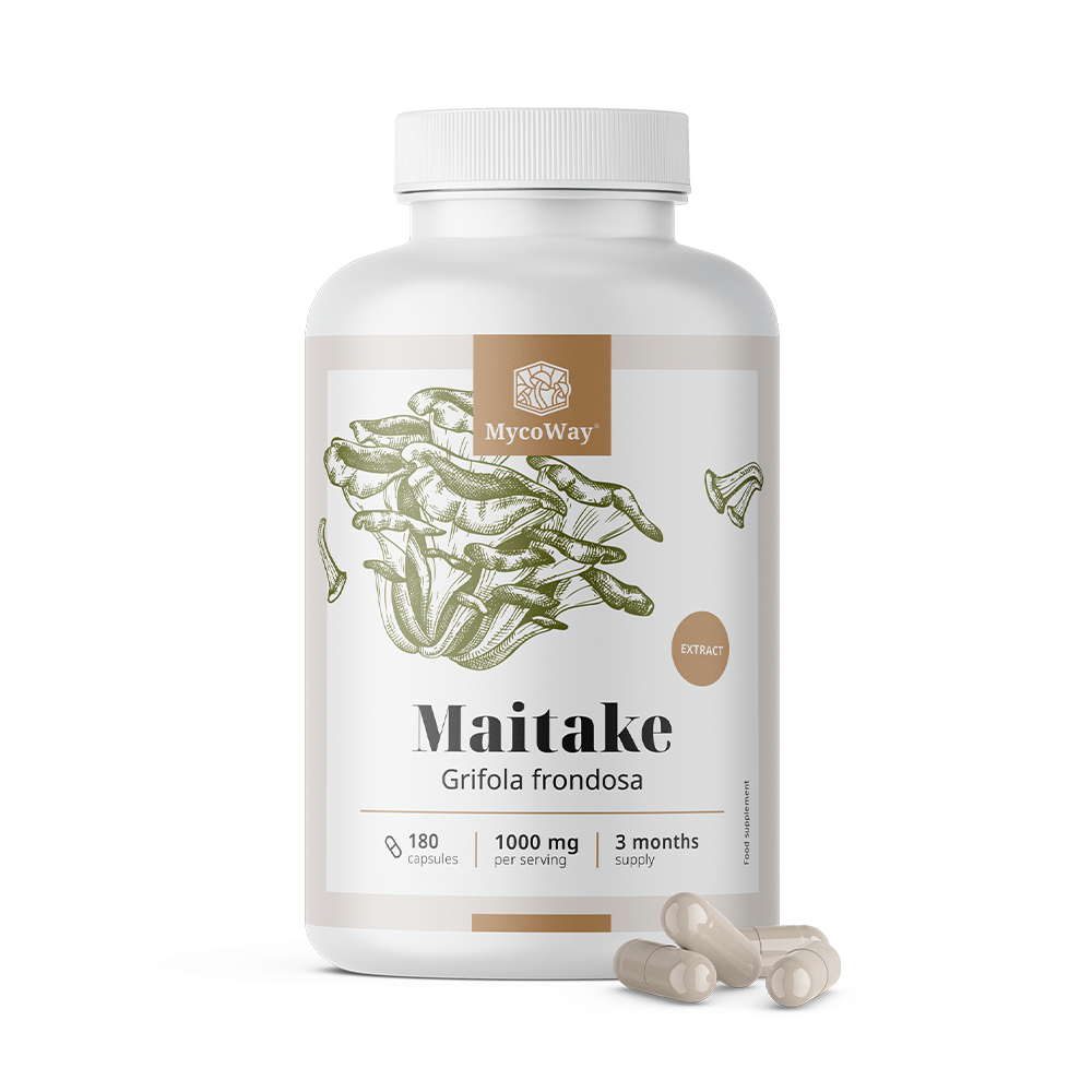 Maitake 1000 mg - extrato