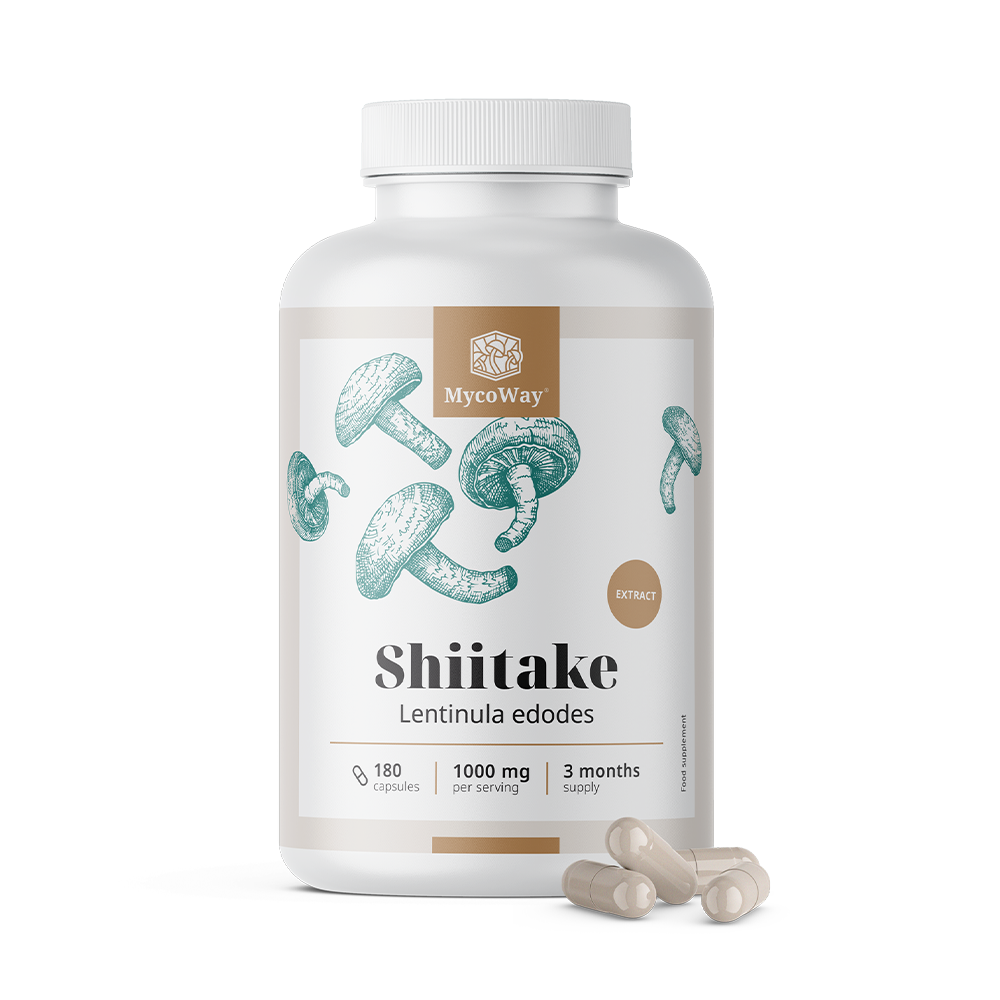 Shiitake 1000 mg - extrato