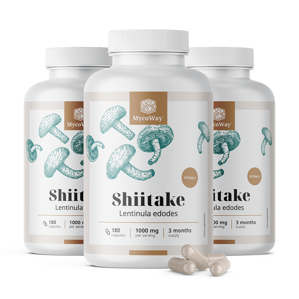Shiitake 1000 mg - extrato