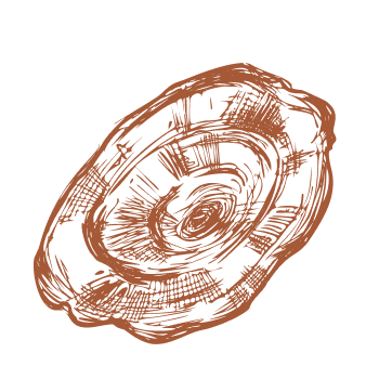 Dê um passo em direção à vitalidade e à força