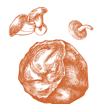 Estabeleça o equilíbrio no corpo