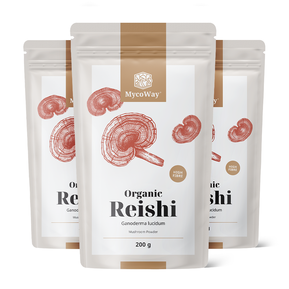 BIO Reishi em pó