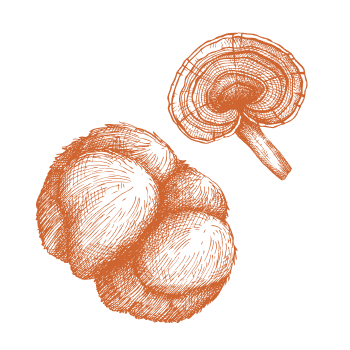 Poder e energia da natureza