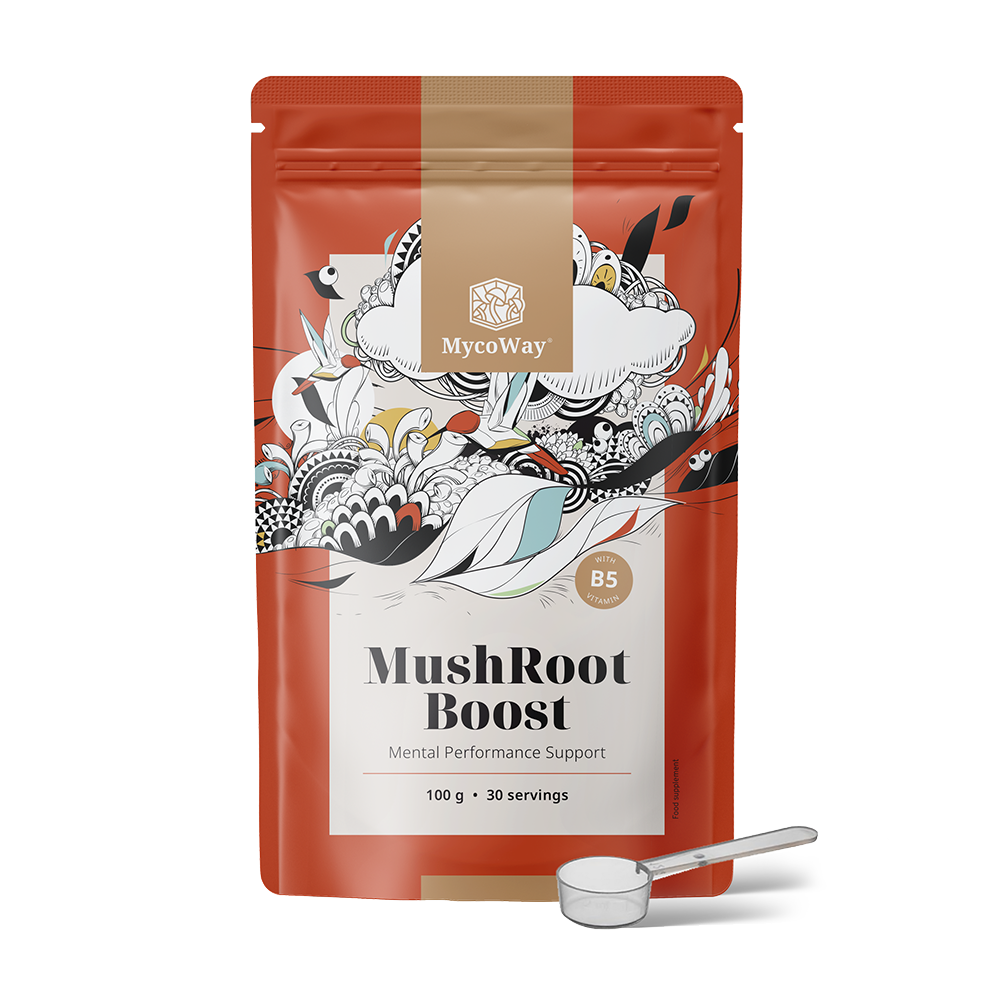 MushRoot Boost - bebida para melhorar o desempenho mental.