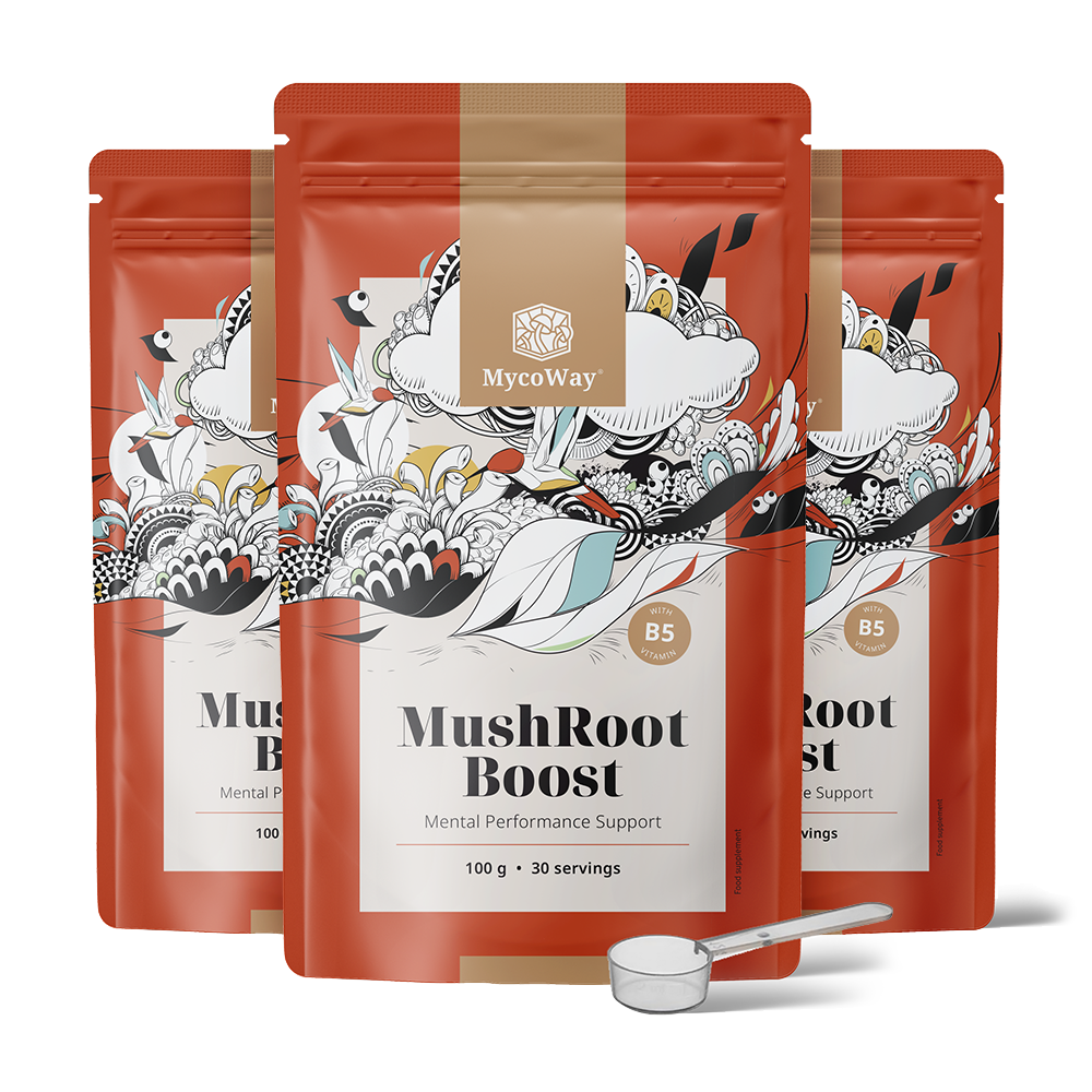 MushRoot Boost - bebida para melhorar o desempenho mental