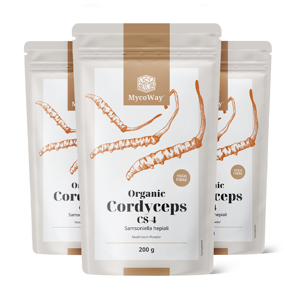BIO Cordyceps sinensis em pó
