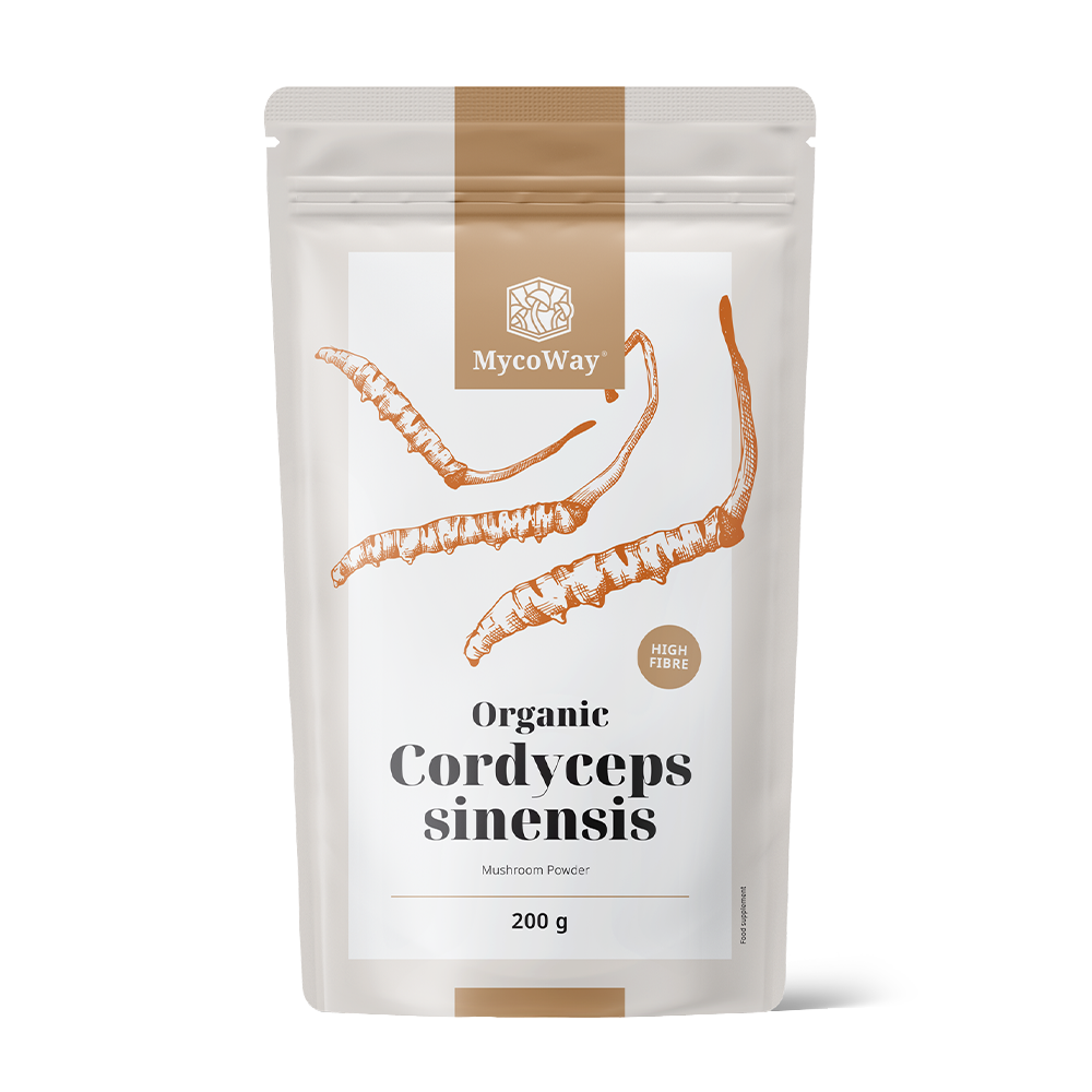 BIO Cordyceps sinensis em pó.