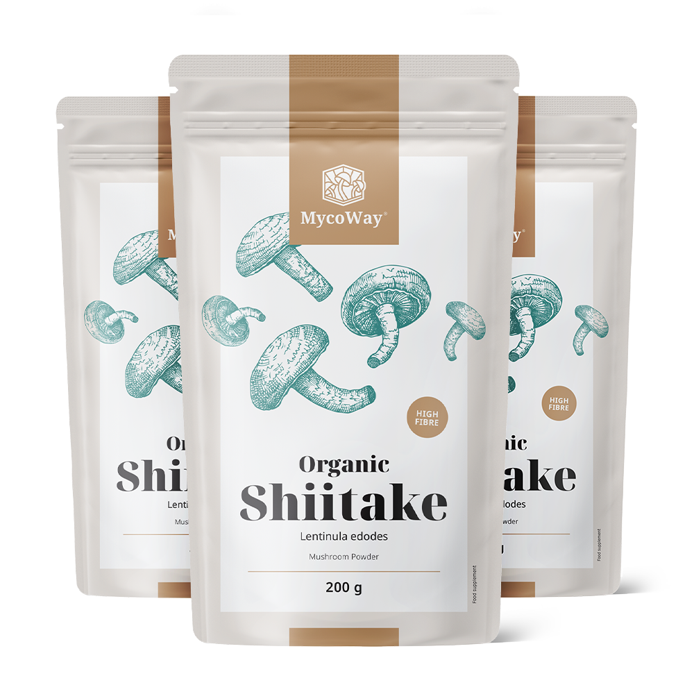 Shiitake em pó BIO