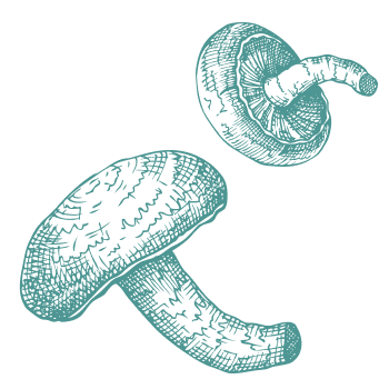 Uma tradição milenar de fortalecimento do corpo