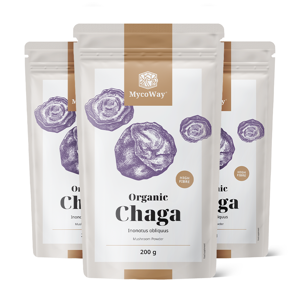 BIO Chaga em pó.