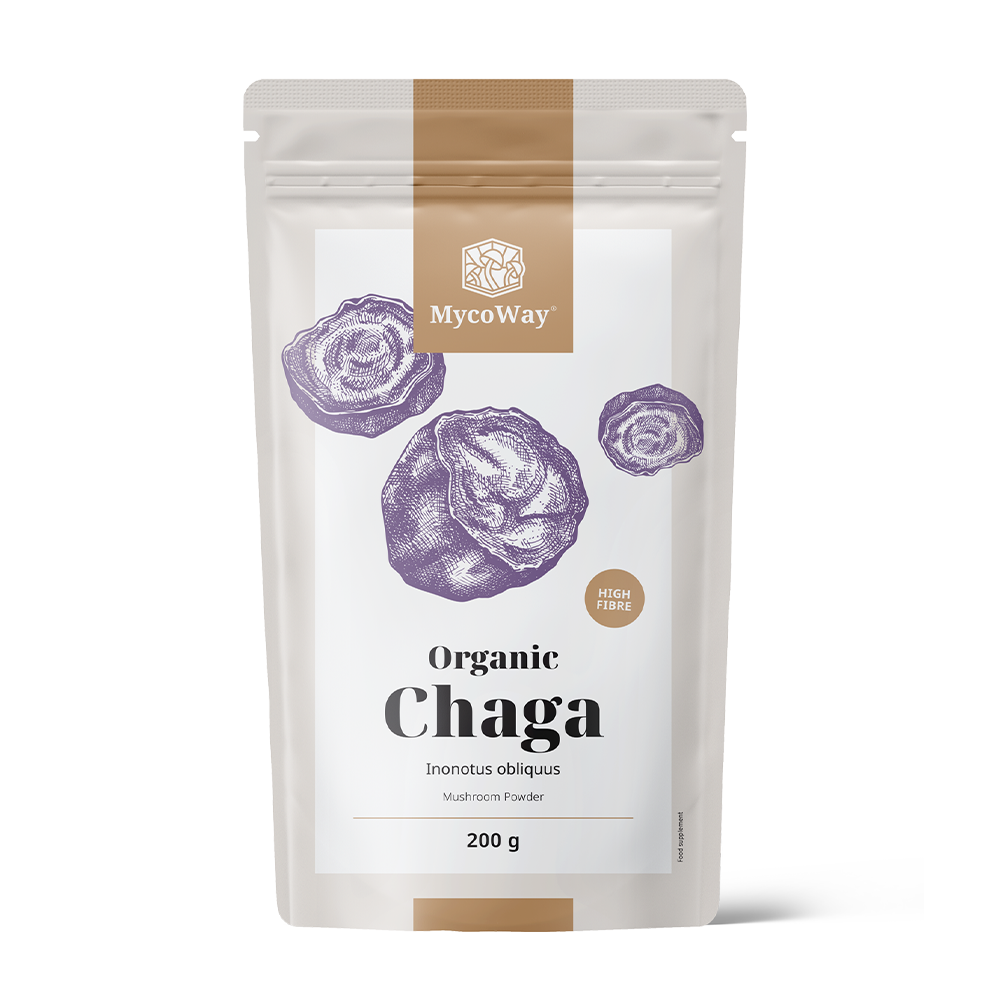 BIO Chaga em pó.