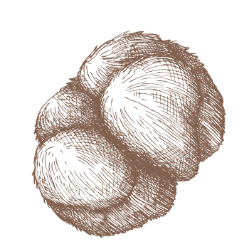 Apoio completo para dias difíceis