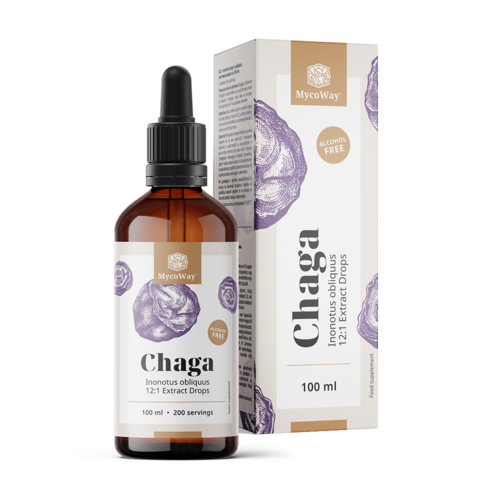 Chaga – extrato em gotas, 100 ml