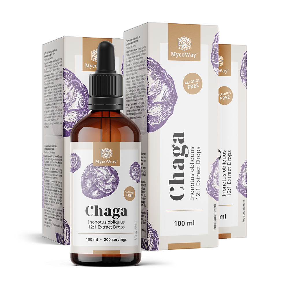Chaga – extrato em gotas