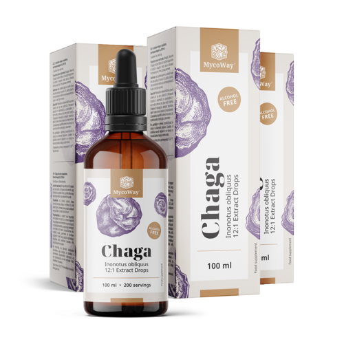 3x Chaga – extrato em gotas, total de 300 ml