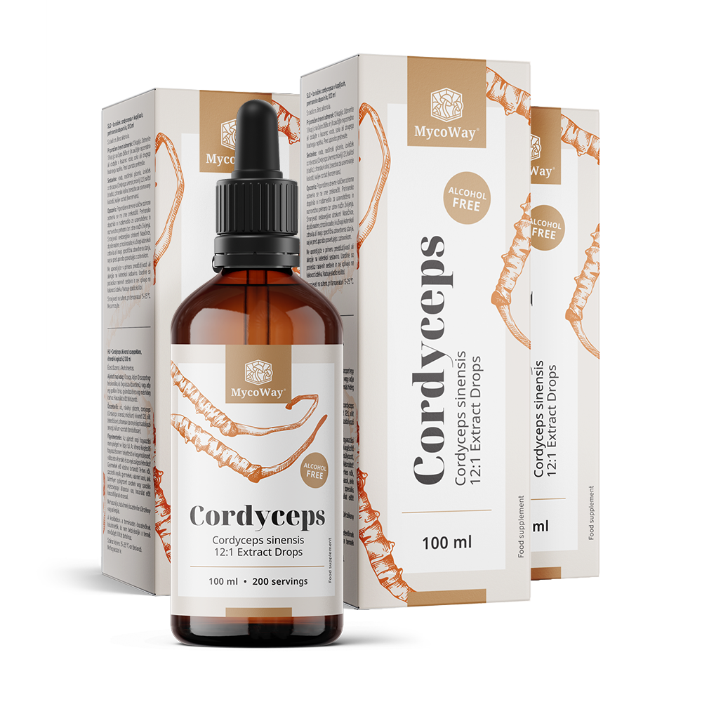 Cordyceps - extrato em gotas