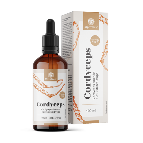 Cordyceps – extrato em gotas, 100 ml